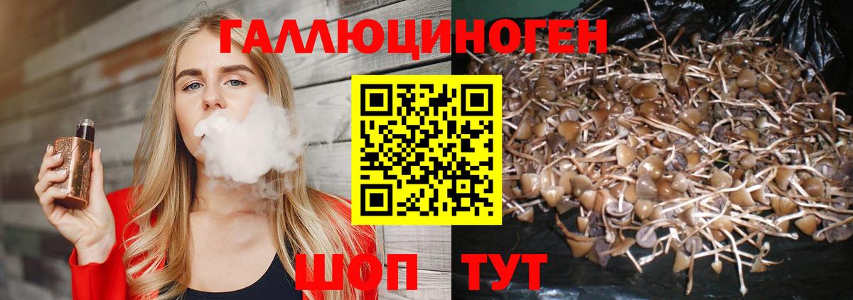 Галлюциногенные грибы GOLDEN TEACHER  Галлюциногенные грибы мухоморы  Комсомольск-на-Амуре  закладки  Вход с VPN 